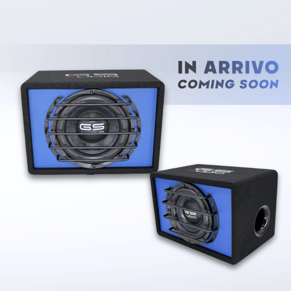 ARRIVAL 2026 | Active Amplified Subwoofer Speaker - 10"/250mm 400WRMS - 800W MAX