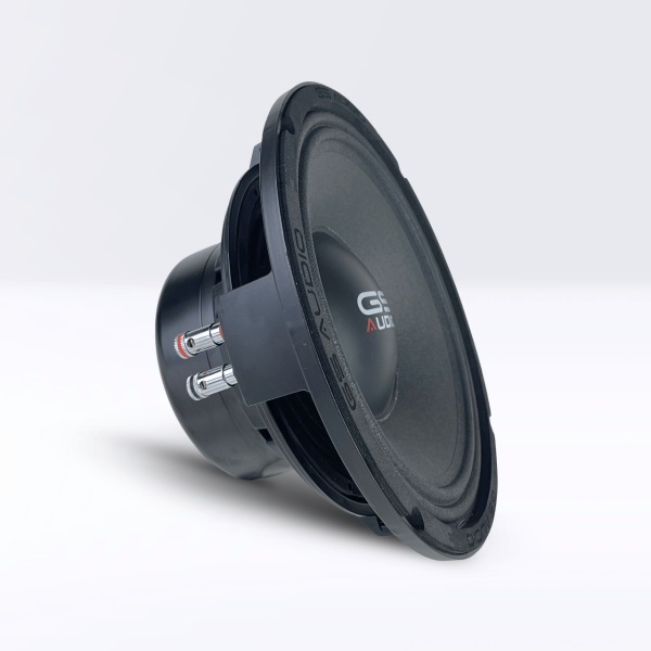 GS Audio PRO MAX 10N4-1900W | PA Woofer 10"/25cm - 4+4 Ohm